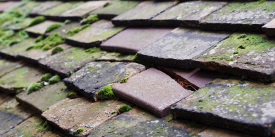 Fairfield Park roof repair costs